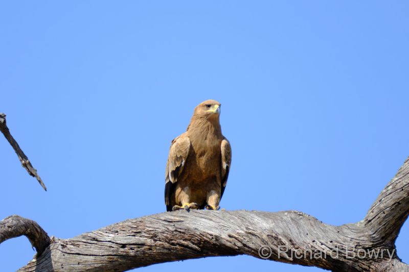 Zimbabwe - 2024-11-10 07.55.252024-11-19 06.45.35