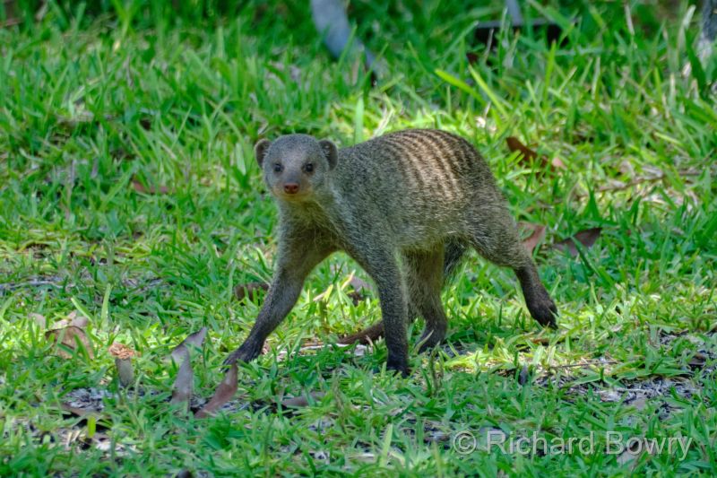 Zimbabwe on 03-12-22 at 11-50-38