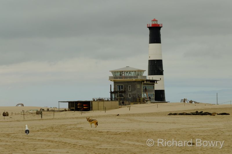 Namibia - 2024-10-24 10.15.372024-11-19 06.38.59