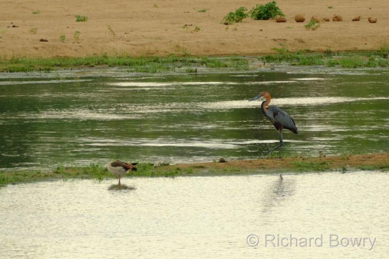 Zimbabwe - 2024-11-12 07.55.072024-11-19 06.46.16