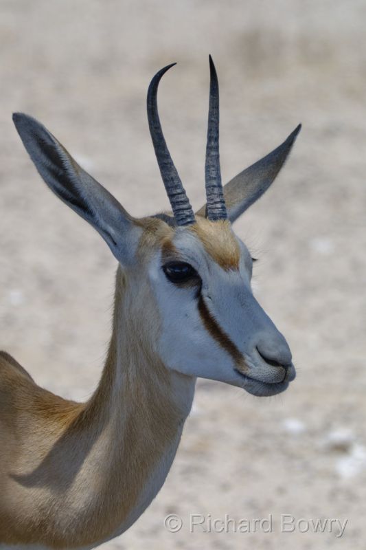 Namibia - 2024-10-29 13.52.442024-11-19 06.40.29