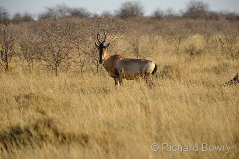 Namibia - 2024-11-01 06.51.142024-11-19 06.41.25