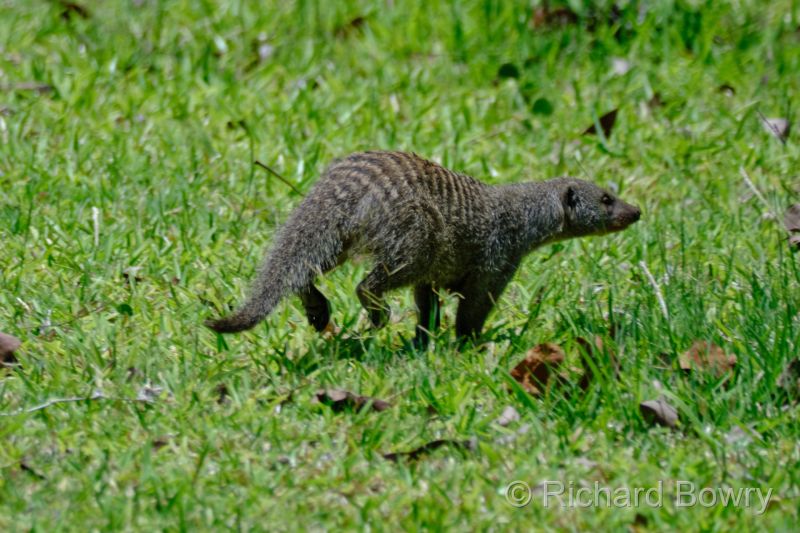 Zimbabwe on 03-12-22 at 11-50-26