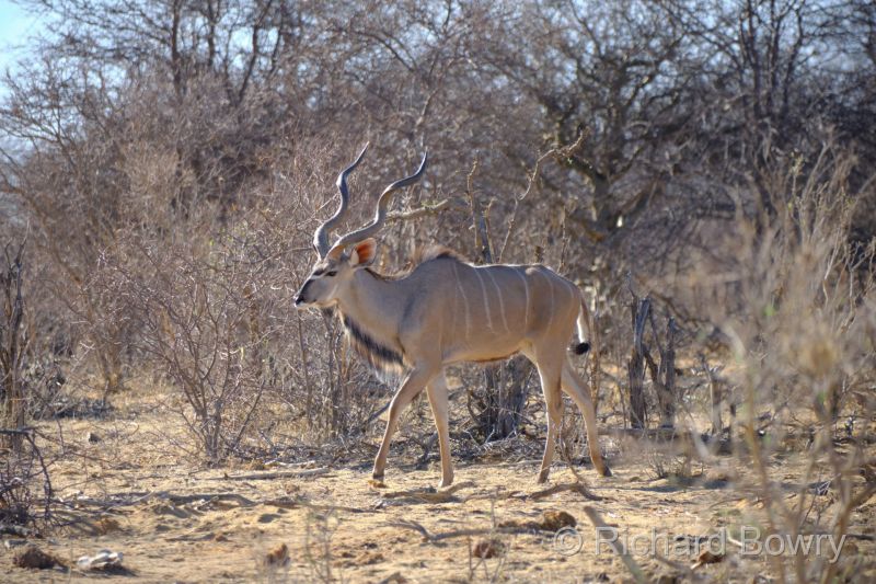 Namibia - 2024-11-01 08.09.492024-11-19 06.41.29