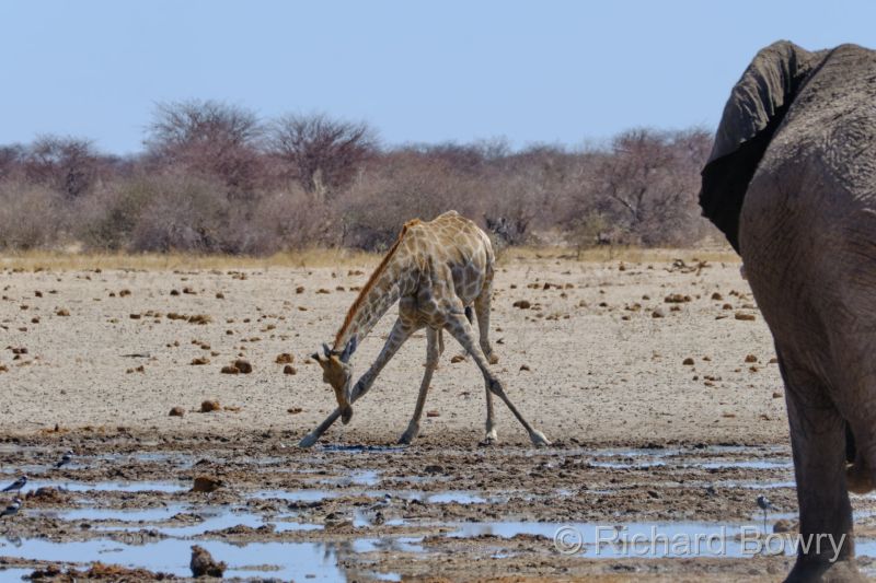 Namibia - 2024-10-31 15.06.102024-11-19 06.41.00