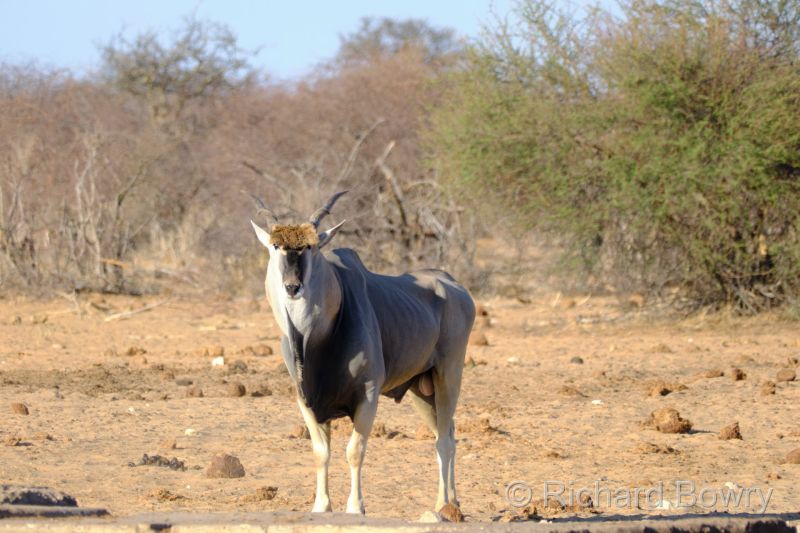 Namibia - 2024-11-01 17.29.492024-11-19 06.41.38