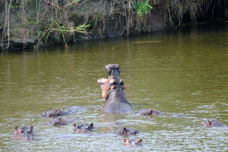 Zimbabwe on 05-12-22 at 15-21-20