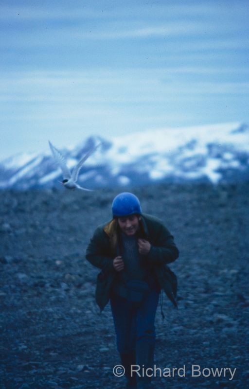 Svalbard (32 of 112)