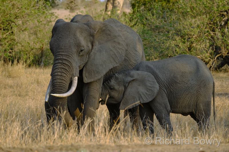 Kruger at 2025-10-13 16.48.00 at 16-48-00