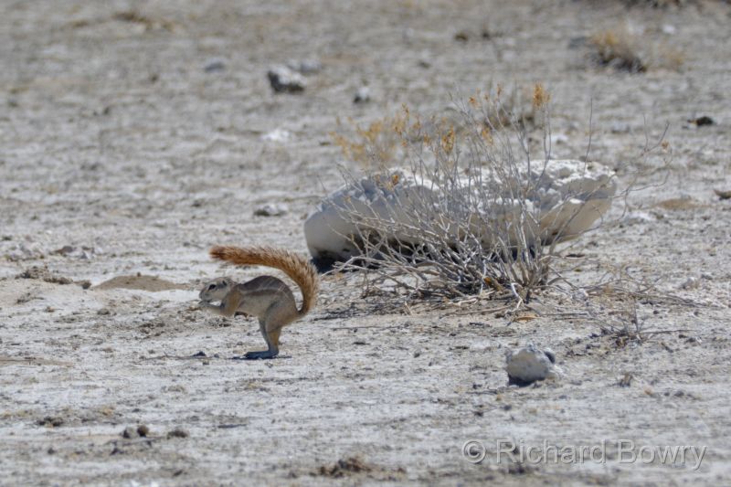 Namibia - 2024-10-29 10.43.592024-11-19 06.40.18