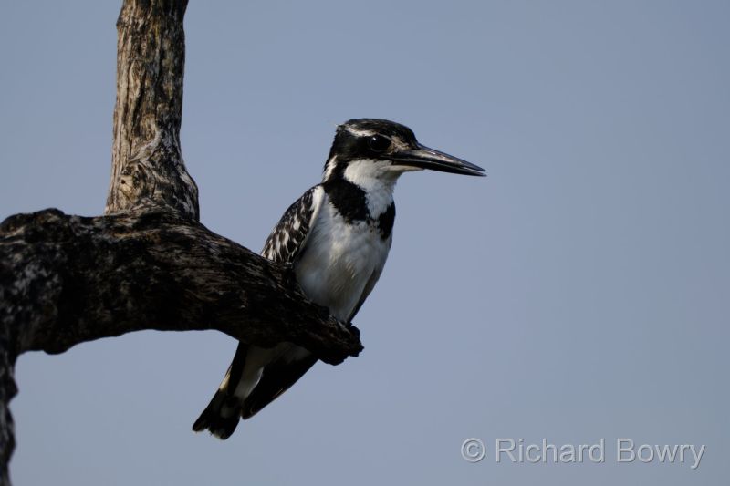 Zimbabwe on 27-11-22 at 07-24-13