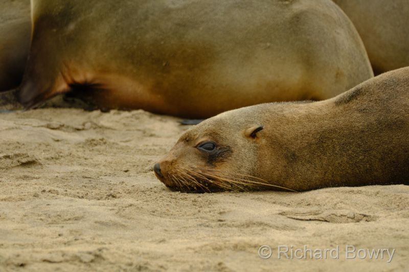 Namibia - 2024-10-24 09.53.472024-11-19 06.38.57
