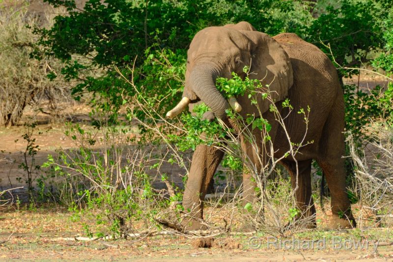 Zimbabwe - 2024-11-07 16.16.132024-11-19 06.45.07