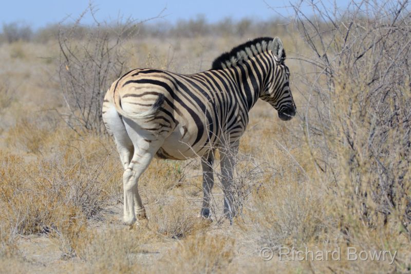 Namibia - 2024-10-29 09.18.202024-11-19 06.40.10