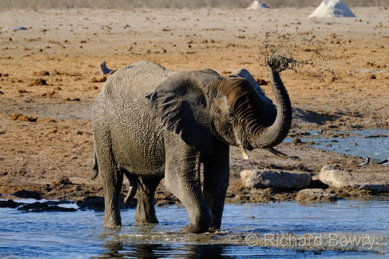 Namibia - 2024-10-31 17.22.402024-11-19 06.41.16