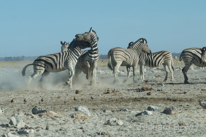 Namibia - 2024-10-31 08.23.572024-11-19 06.40.53