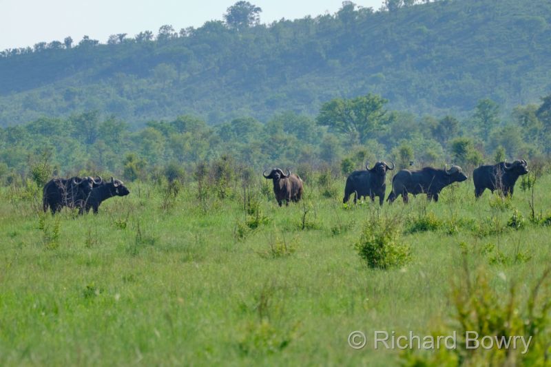 Zimbabwe on 03-12-22 at 16-29-02