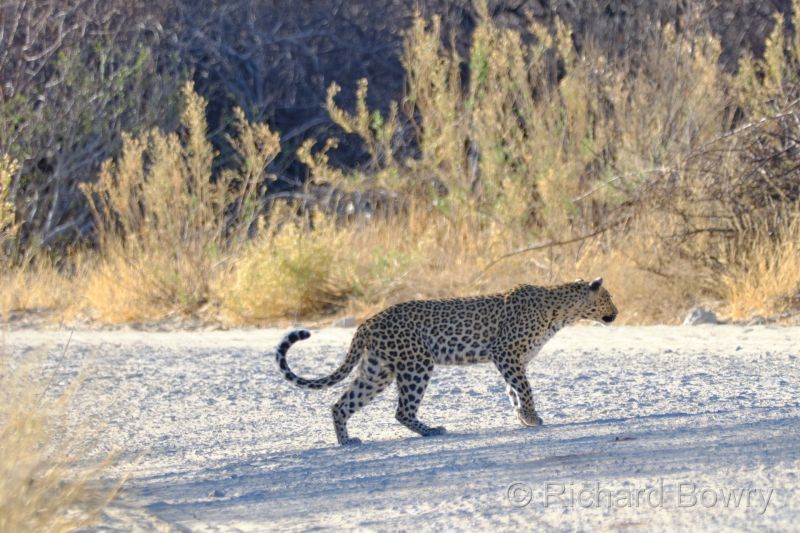 Namibia - 2024-10-31 07.44.022024-11-19 06.40.51