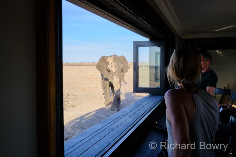 Namibia - 2024-10-31 17.40.392024-11-19 06.41.20