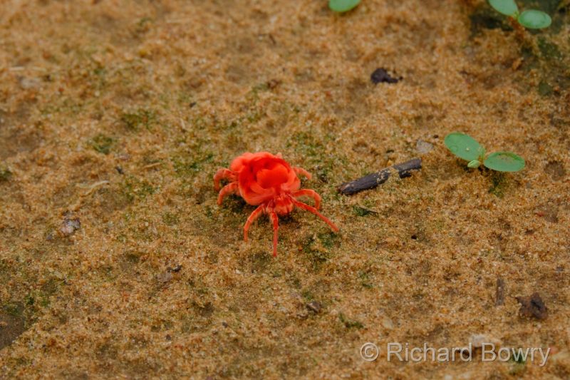 Zimbabwe - 2024-11-07 09.41.592024-11-19 06.44.56