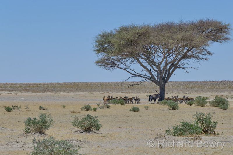 Namibia - 2024-10-29 12.27.382024-11-19 06.40.20