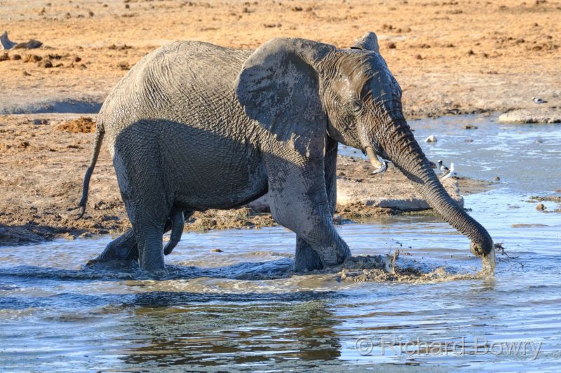Namibia - 2024-10-31 17.22.482024-11-19 06.41.16