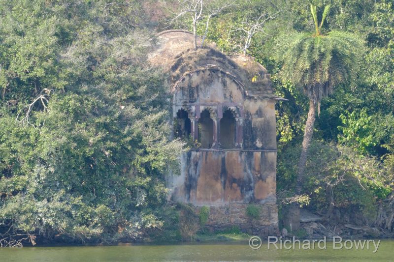 Rathambhore at 2026-02-09 15.02.07