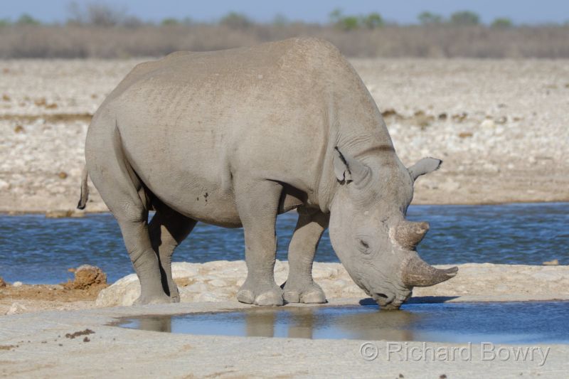 Namibia - 2024-10-28 17.20.272024-11-19 06.40.00
